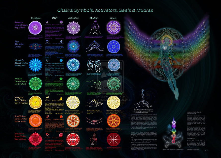 Chakra Symbols Activators Seals And Mudras Infographic With Human Figure, Chakra Background. Trippy, Body Chakras HD wallpaper