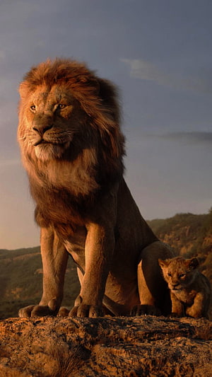 Simba and Mufasa on Pride Rock in The Lion King HD phone wallpaper