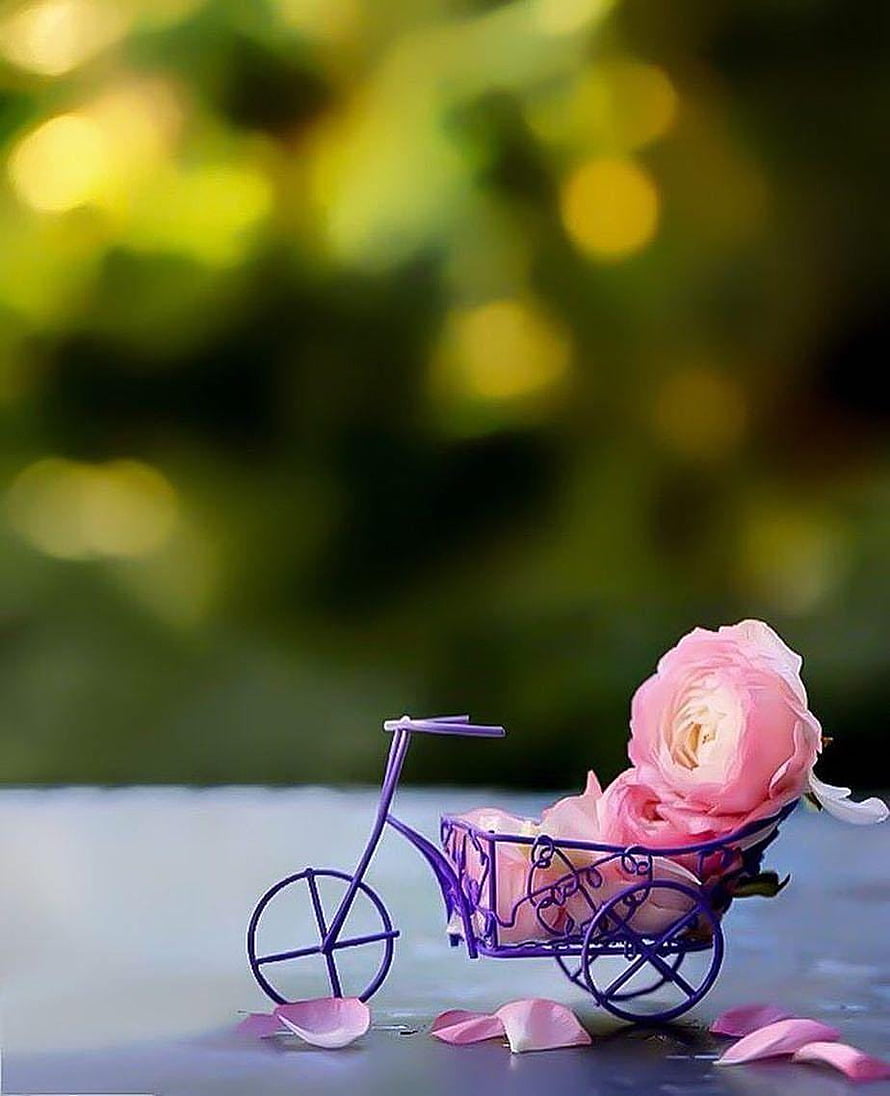 Delicate Purple Wire Bicycle Carrying Soft Pink Roses Against a Blurred Green Garden Background HD phone wallpaper