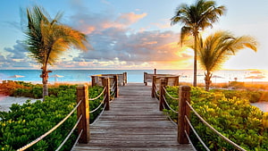 Tropical Beach Boardwalk at Sunset with Palm Trees and Ocean View HD wallpaper