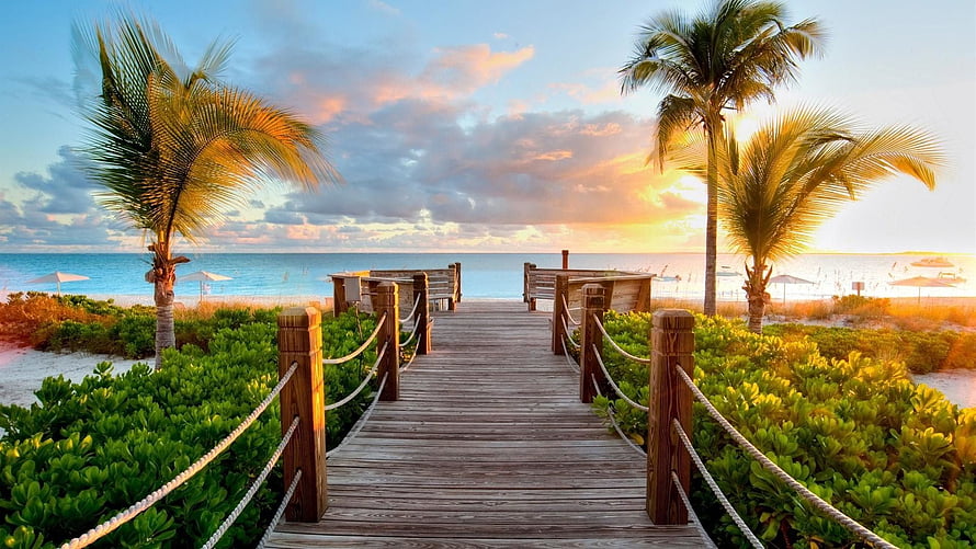 Tropical Beach Boardwalk at Sunset with Palm Trees and Ocean View HD wallpaper