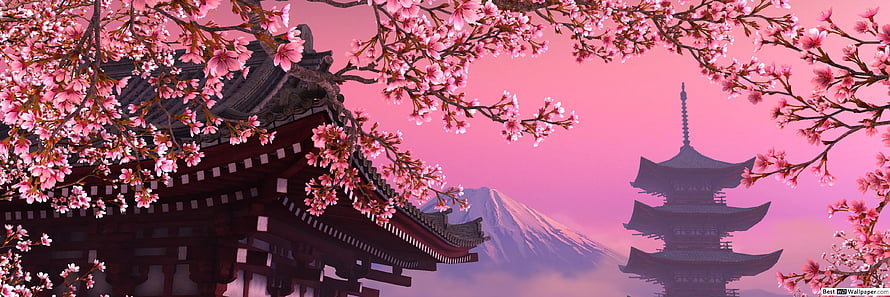 Cherry Blossoms Framing Traditional Japanese Temple and Pagoda with Mount Fuji HD wallpaper