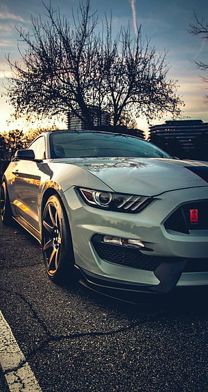 Silver Ford Mustang Shelby GT350 Front Three-Quarter View at Sunset HD phone wallpaper