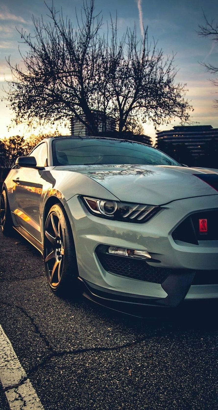 Silver Ford Mustang Shelby GT350 Front Three-Quarter View at Sunset HD phone wallpaper