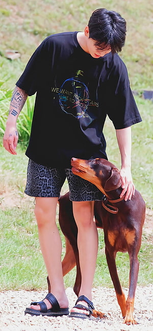 Jungkook from BTS petting a brown dog in a casual black t-shirt and patterned shorts outdoors HD phone wallpaper