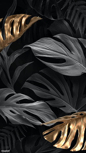 Luxurious Black and Gold Monstera Leaves Wallpaper HD phone wallpaper