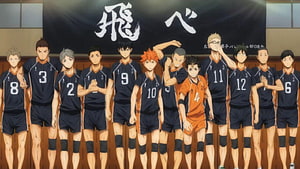 Haikyuu Karasuno High School Volleyball Team Group Portrait HD wallpaper