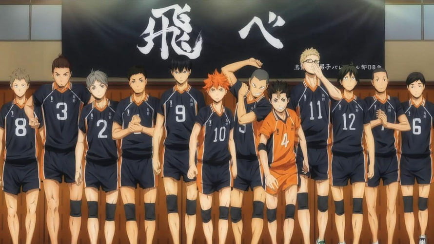 Haikyuu Karasuno High School Volleyball Team Group Portrait HD wallpaper