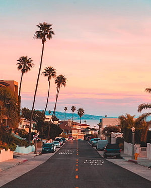 Los Angeles Sunset Street Scene With Palm Trees And Coastal View HD phone wallpaper