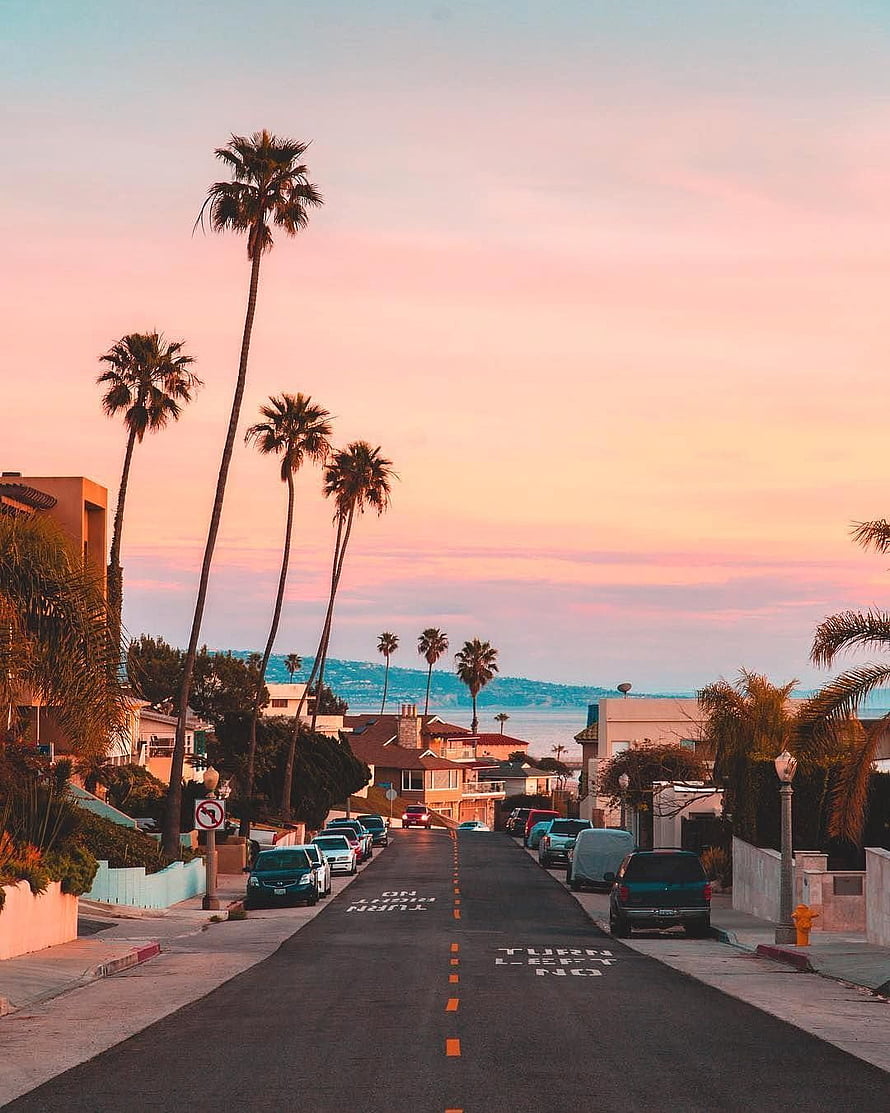 Los Angeles Sunset Street Scene With Palm Trees And Coastal View HD phone wallpaper