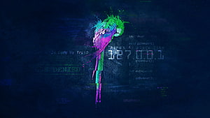 Colorful Parrot With Coding Text And 127.0.0.1 IP Address On Dark Blue Background HD wallpaper