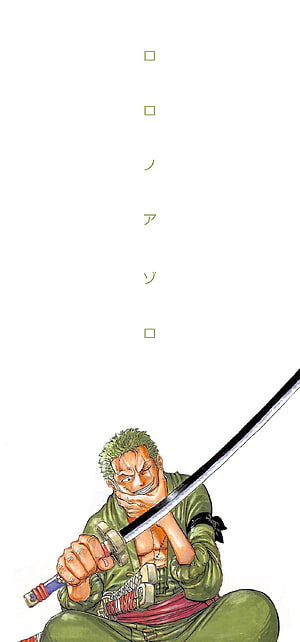 Roronoa Zoro from One Piece in a seated pose holding a katana with a confident grin HD phone wallpaper