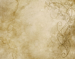Vintage parchment texture with delicate floral vine illustration and aged paper background HD wallpaper