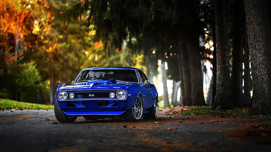 Blue Chevrolet Camaro SS Classic Muscle Car on Autumn Forest Road HD wallpaper