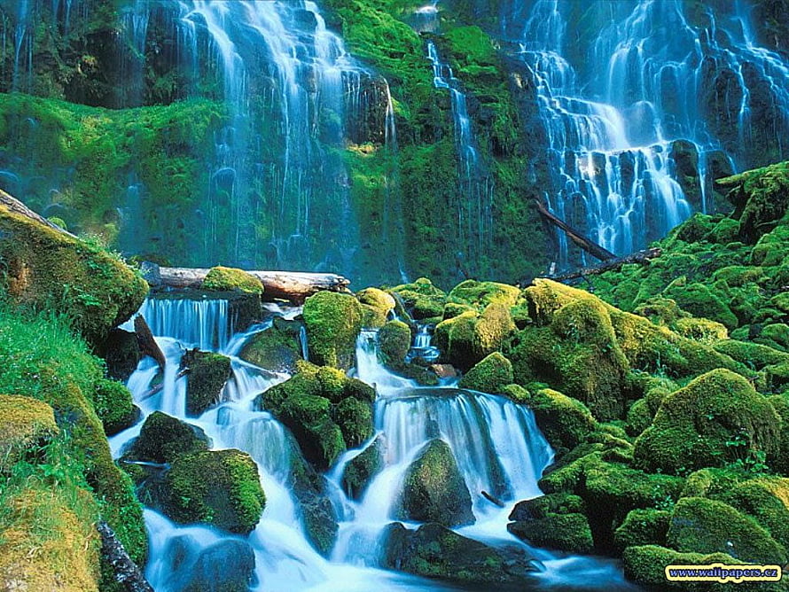 Serene Mossy Waterfall Cascading Over Rocks in Lush Green Forest HD wallpaper