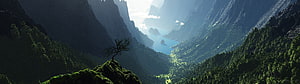 Majestic Mountain Valley with Distant Lake and Solitary Tree on a Mossy Cliff HD wallpaper