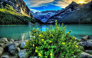 Turquoise Mountain Lake at Sunset with Yellow Wildflowers and Rocky Shoreline HD wallpaper