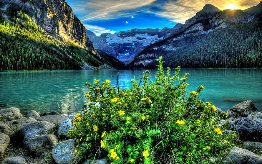 Turquoise Mountain Lake at Sunset with Yellow Wildflowers and Rocky Shoreline HD wallpaper