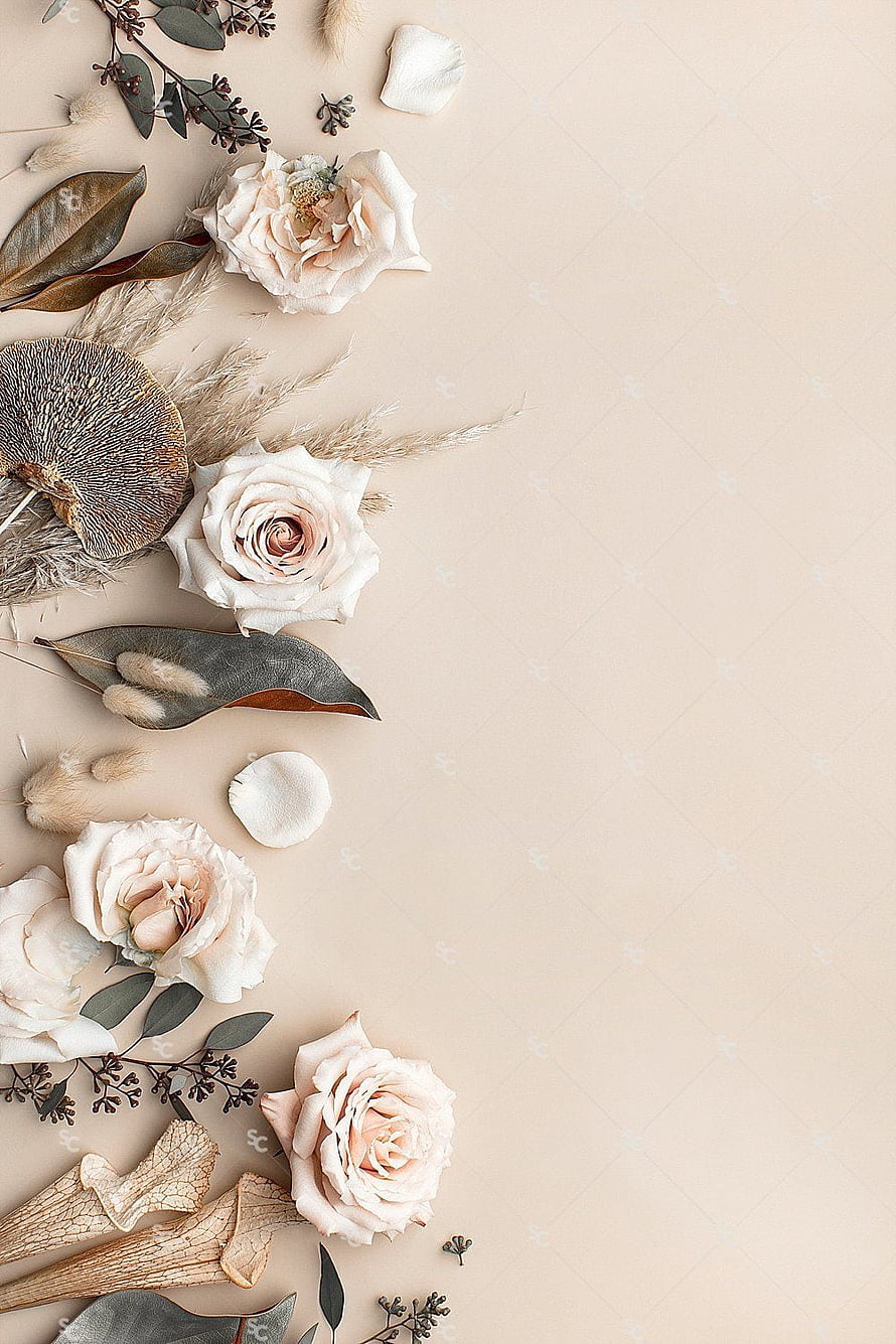 Elegant Dried Floral Arrangement with Pale Roses and Botanical Elements on Beige Background HD phone wallpaper
