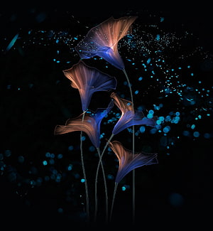 Ethereal Glowing Flowers with Blue and Orange Hues on Dark Background HD phone wallpaper