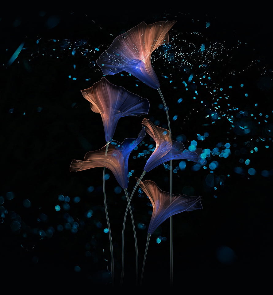 Ethereal Glowing Flowers with Blue and Orange Hues on Dark Background HD phone wallpaper