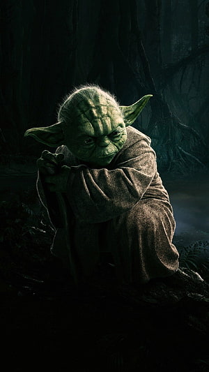 Yoda Sitting in Dark Swamp Forest with Intense Gaze and Brown Robes HD phone wallpaper