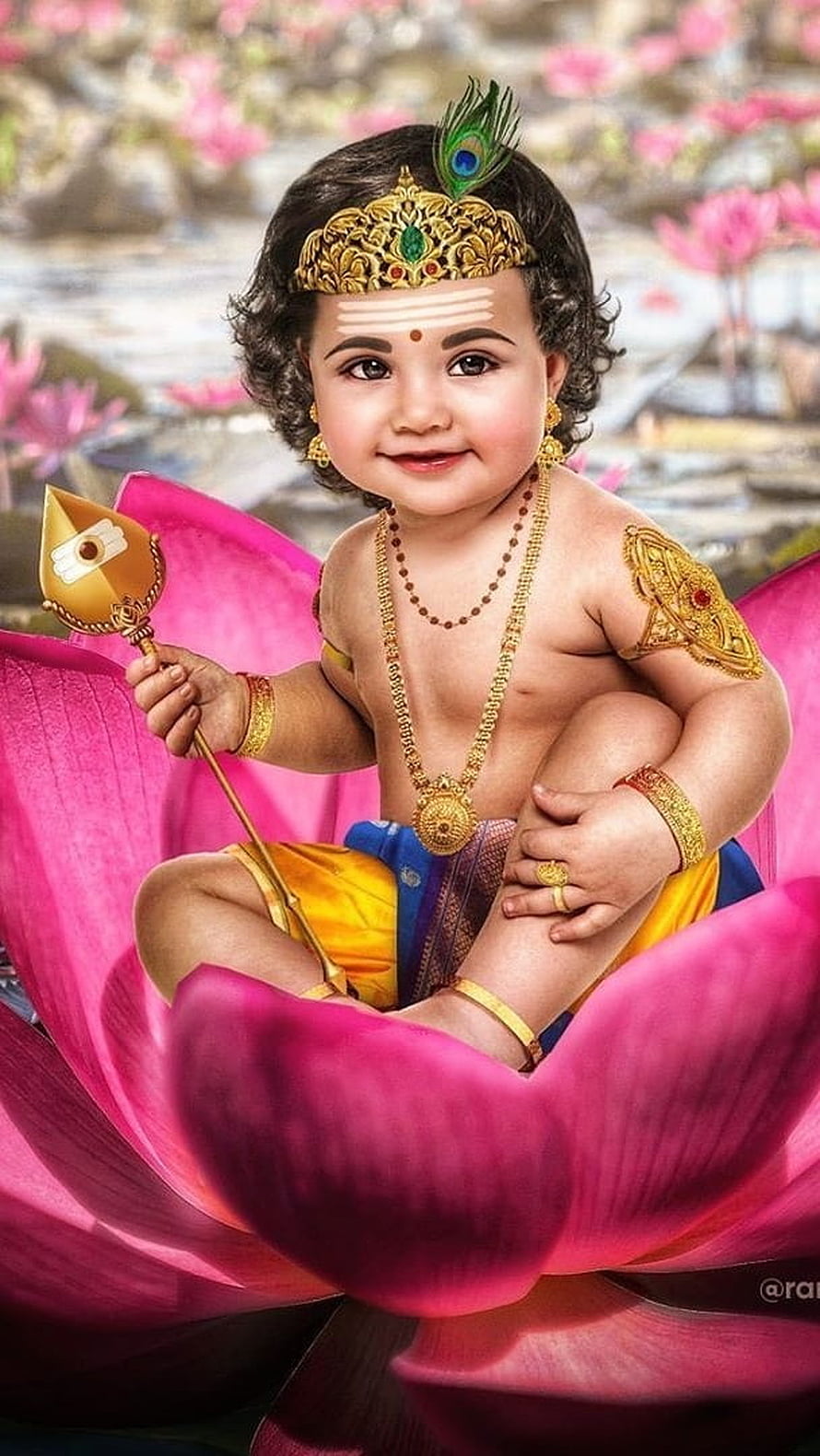 Baby Lord Ganesha Sitting on Pink Lotus Flower with Golden Crown and Peacock Feather HD phone wallpaper