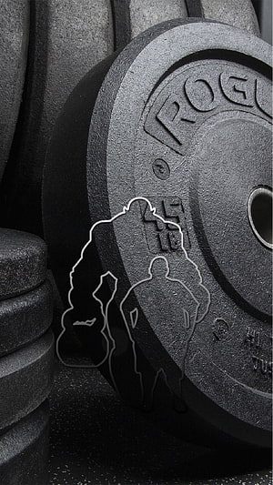 Rogue 45lb Bumper Plate Close-Up with Gym Silhouette Overlay HD phone wallpaper