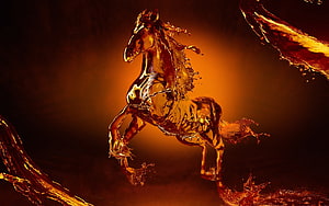 Sculpted Liquid Horse Reared in Golden Amber Splash Against Dark Background HD wallpaper