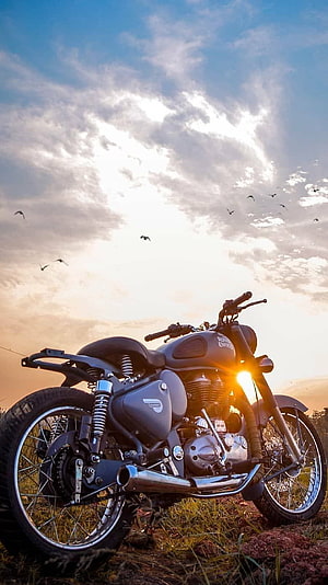 Royal Enfield Bullet motorcycle parked on grassy field at golden hour with birds flying in the sky HD phone wallpaper