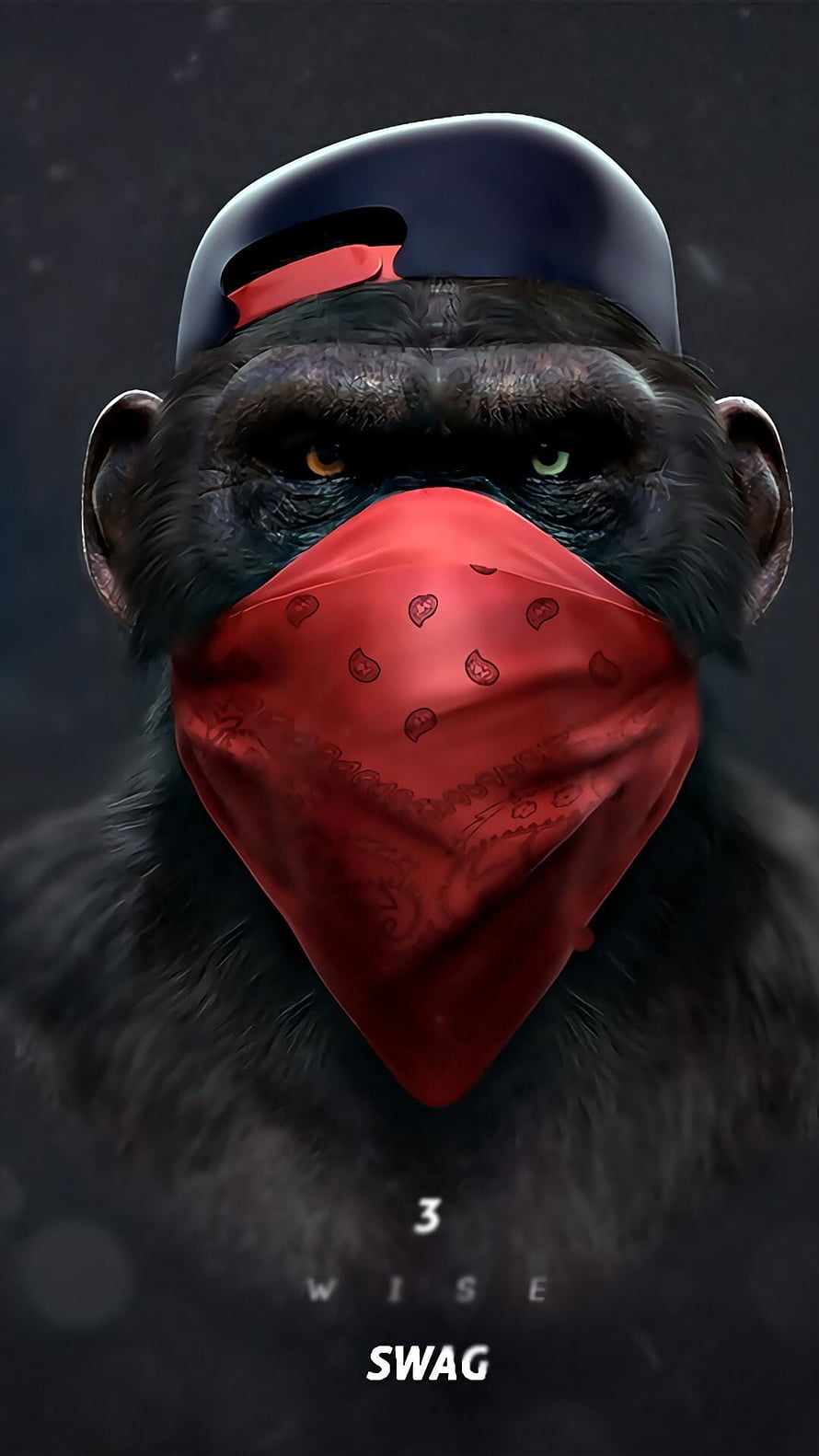 Stylish Chimp Portrait Wearing Red Bandana and Backward Cap HD phone wallpaper