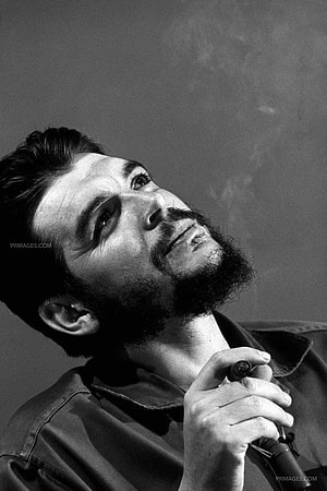 Black and white portrait of a bearded man looking upward while holding a microphone, Che Guevara Best (1146) - Elliott Erwitt Che Guevara - & Background , Che Guevara HD phone wallpaper