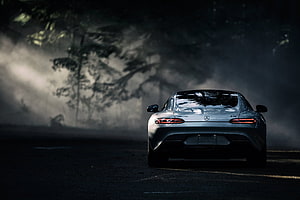 Mercedes-AMG GT 63 S E Performance in a dark foggy forest, Mercedes-Benz, Cars, Back View, Rear View, Amg, 2016, Gt S HD wallpaper