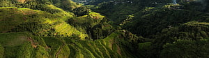 Lush Green Terraced Rice Fields on Mountain Slopes in Southeast Asia HD wallpaper