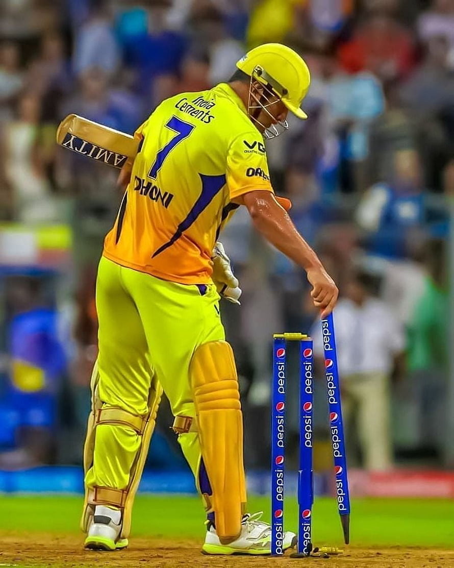 MS Dhoni in yellow Chennai Super Kings jersey adjusting blue Pepsi stumps during cricket match HD phone wallpaper