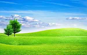 Bliss Windows XP Default Desktop Wallpaper Green Hills Blue Sky HD wallpaper