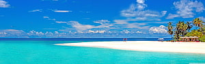 Pristine Tropical Beach with Turquoise Water, White Sand, and Palm Trees Under a Blue Sky HD wallpaper