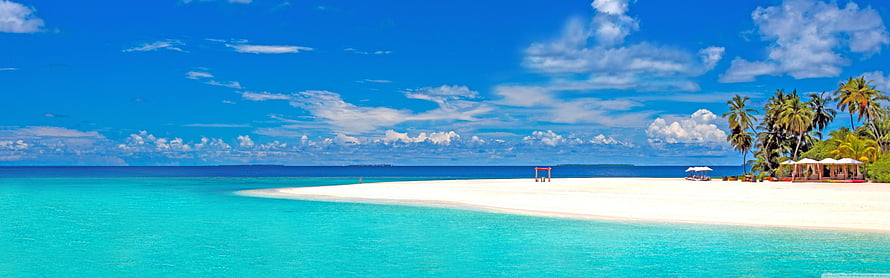 Pristine Tropical Beach with Turquoise Water, White Sand, and Palm Trees Under a Blue Sky HD wallpaper