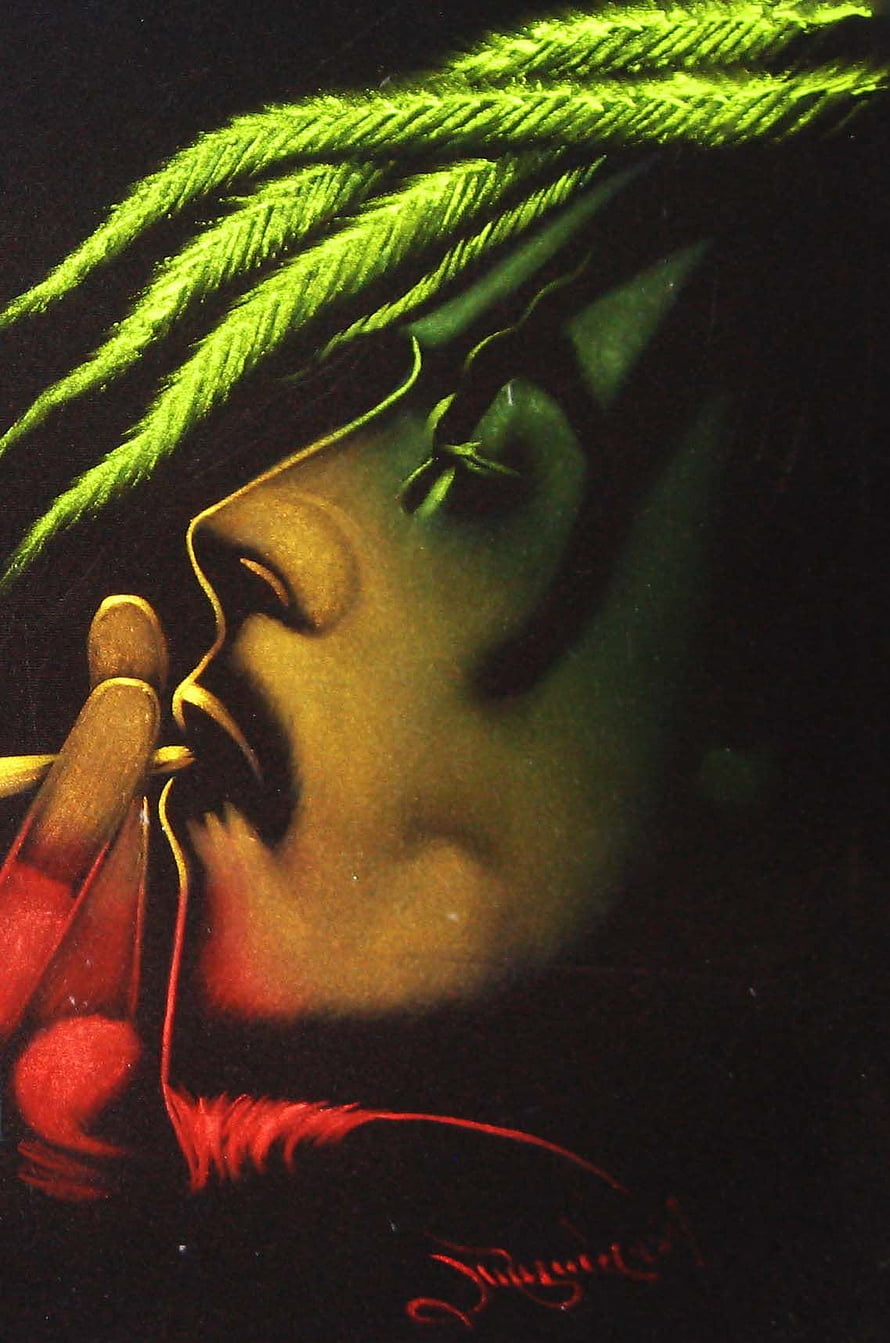 Bob Marley Profile Portrait with Dreadlocks and Cigarette in Dramatic Green and Red Lighting HD phone wallpaper