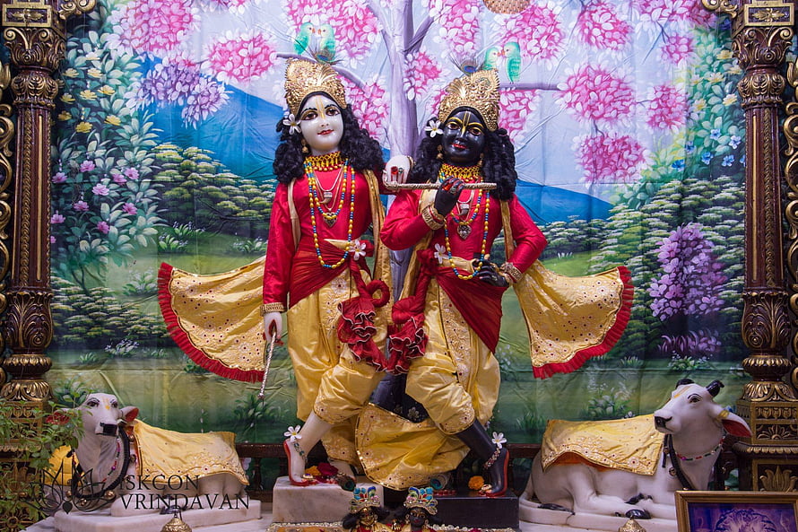 Krishna and Balarama Deities in Red and Gold Attire at ISKCON Vrindavan Temple HD wallpaper