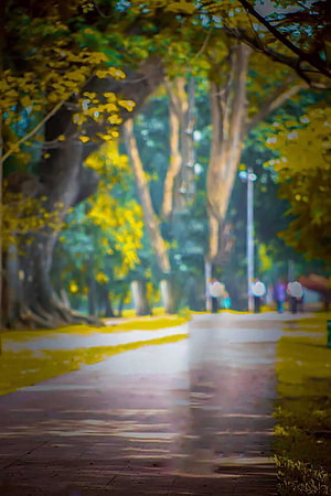 Dreamy Park Pathway with Golden Trees and Soft Focus HD phone wallpaper