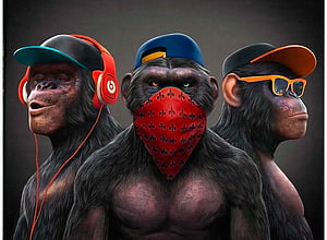 Three Street Style Chimpanzees Wearing Caps, Headphones, and Bandana in Digital Art HD wallpaper