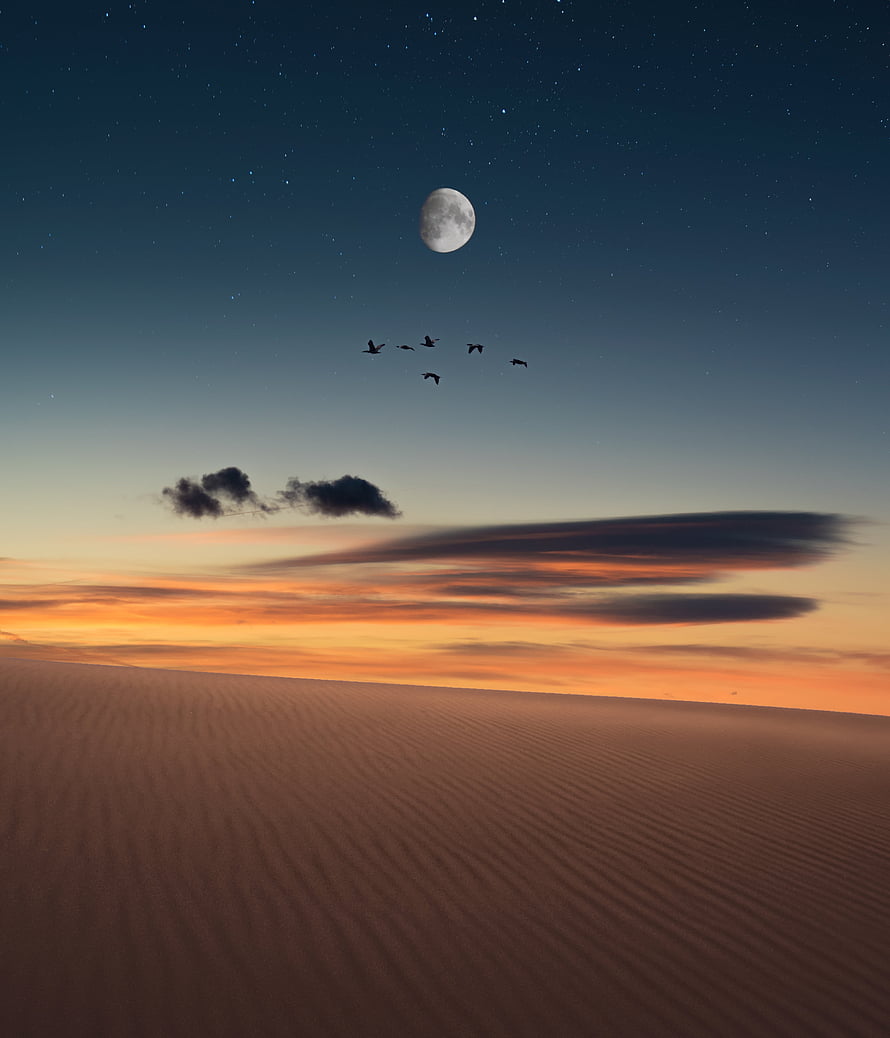 Full moon rising over a vast desert landscape with birds in flight at twilight HD phone wallpaper