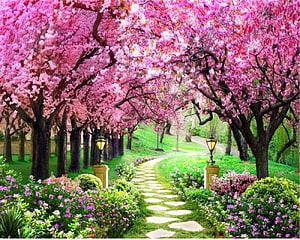 Cherry Blossom Garden Path With Lamps And Flower Beds HD wallpaper