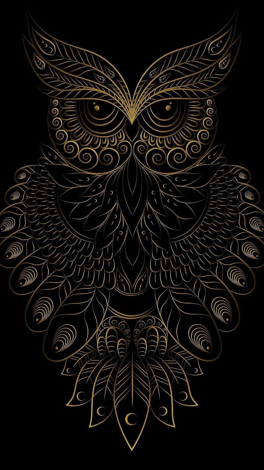 Ornamental Gold Owl Line Art on Black Background HD phone wallpaper