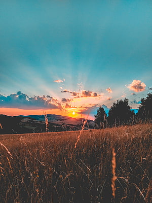 Golden Hour Sunset Over Rolling Hills With Dramatic Clouds And Tall Grass Field HD phone wallpaper
