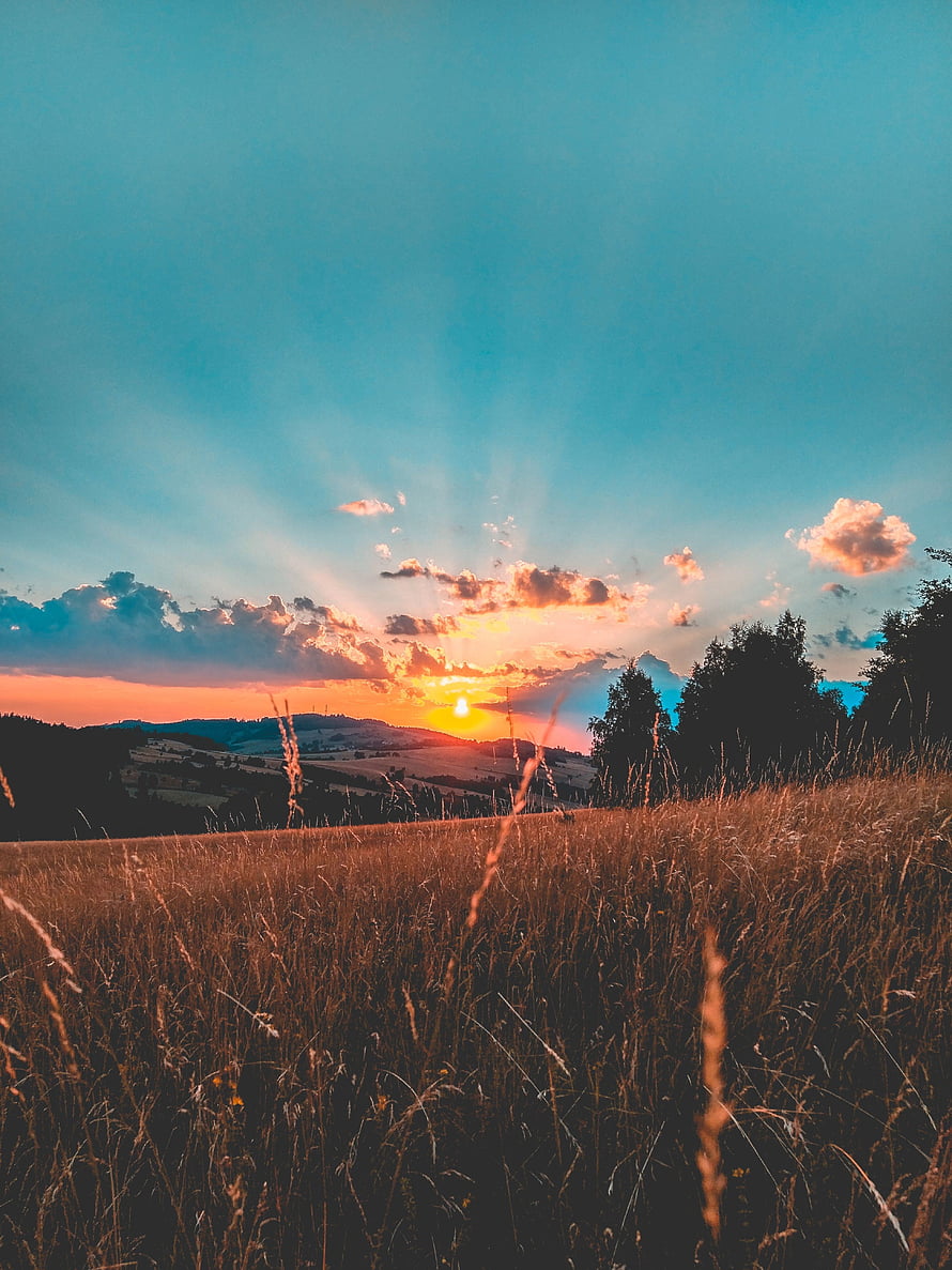 Golden Hour Sunset Over Rolling Hills With Dramatic Clouds And Tall Grass Field HD phone wallpaper