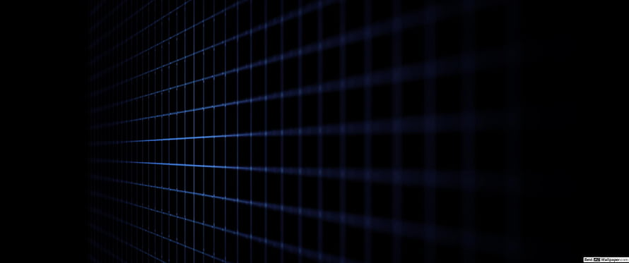 Dark Blue Perspective Grid Lines on Black Background Abstract Technology Wallpaper HD wallpaper