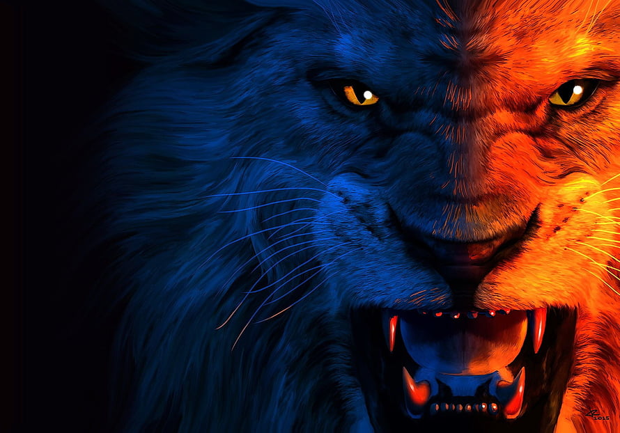 Fierce Lion Head Digital Art With Split Blue And Orange Lighting HD wallpaper