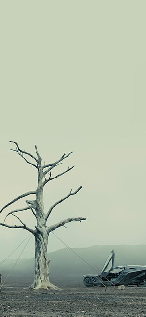 Interstellar Ranger Rover and Dead Tree in Desolate Alien Landscape HD phone wallpaper
